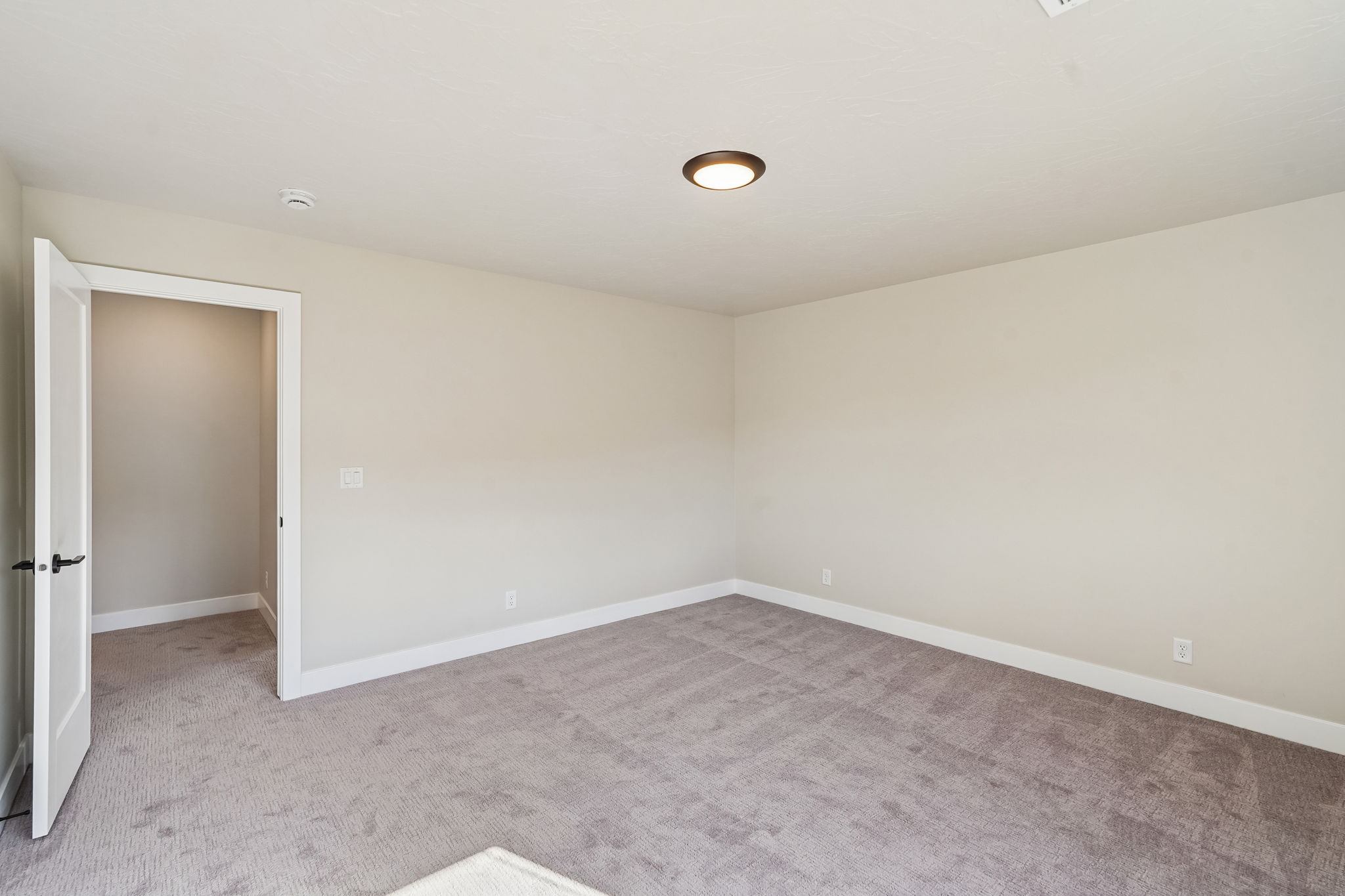 Spacious primary suite featuring soft carpeting, modern lighting, and a relaxing neutral color palette.
